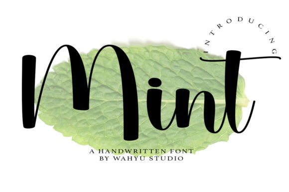 How Mint Script Font Elevates Small Business Branding