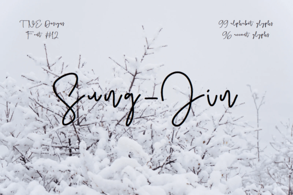 Sung-jin: A Font for Business Brilliance